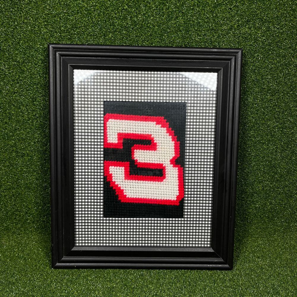 Vintage Framed Yarn Craft Dale Earnhardt Sr. #3 NASCAR 10"x12"